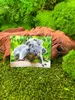 Onwomania Koala Beer, Koalabear, 9x7 cm, 3D magneet, kaart, Productafbeelding-voorbeeld 2