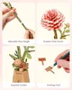 3D Houten bloem-puzzel, abrikozen dahlia – Doe-het-zelf Productafbeelding-voorbeeld 2