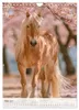 Stolze Haflinger Pferde (Wandkalender 2027 DIN A4 hoch), Produktbild-Vorschau 3