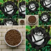 100 KUSOV Úžasné semená ruží Vzácne čierne s bielou ružou Náhľad obrázku produktu 1