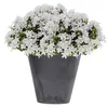 Prosperplast 12l Tubus Beton Effect Collection 30x30x28 Cm Produktbild-Vorschau 7