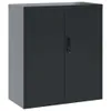 A dark gray metal filing cabinet with two doors and a lock is shown against a white background. Náhľad obrázku produktu