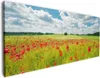 Wallario Premium Leinwandbild Grüne Wiese mit Mohnblumen in Produktbild-Vorschau 1
