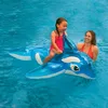 Reittier Kleiner Delfin 152cm mit Griff Produktbild-Vorschau 5