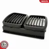 ESEN SKV 66SKV147 Griglia anteriore per BMW Serie 3 Berlina Anteprima dell’immagine prodotto 7