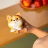 Legami Stress Less Corgi anti-stress, balle anti-stress, Voir les images du produit 4