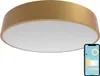 Gologi Smart Plafondlamp Goud - LED Plafondlamp - RGB - Productafbeelding-voorbeeld 1