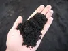 Exo Terra PT3101, 1 Stück(e), 4,5 kg Produktbild-Vorschau 3
