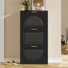 A black shoe cabinet with three flip-down doors, decorated with fluted panels and gold handles, stands against a light beige wall. A vase of flowers and a framed picture are on top of the cabinet. A pair of slippers rests on the wooden floor in front of th Podgląd zdjęcia produktu