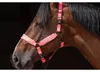 Excellent Horse Superior Halfter rosa, Größe: XS Produktbild-Vorschau 4