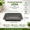 Pflanztopfuntersetzer Jana Anthrazit 34 x 34 cm - Produktbild-Vorschau 3
