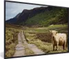 MuchoWow® MuchoWow® Gerahmtes Poster Schottische Produktbild-Vorschau 1