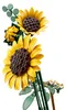 LEGO Botanicals Bouquet de Tournesols 11502 Jeu de Voir les images du produit 7