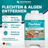 HOTREGA Flechtex Flechten Entferner 2L, Pilz-Entferner, Produktbild-Vorschau 2