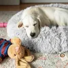 Furrever Friends Fluffy Bed - pelíšek pro psa a kočku 60cm Náhled obrázku produktu 3