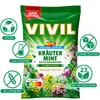 VIVIL® 2363 VIVIL® Kräuter-Mint Bonbons 120,0 g Voir les images du produit 2