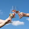 Schott Zwiesel MioVino Wein- & Sektgläser Set 12-teilig Produktbild-Vorschau 15