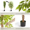 Umělý fíkus Fida, realistická textura - 120 cm Náhled obrázku produktu 5