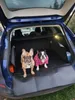 Copriauto per il cane Dexter M Anteprima dell’immagine prodotto 5