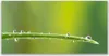 Tulup Leinwand-Bilder 140x70 Wandbild Canvas Kunstdruck Produktbild-Vorschau 1