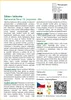 SAFLAX - džbán / láčkovka - Sarracenia flava / S. purpurea Náhled obrázku produktu 3