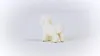 Schleich Farm World Bichon Frisé, Spielfigur Produktbild-Vorschau 4