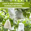 100 Traubenschutzbeutel 15x38cm, Organza Obstnetze mit Produktbild-Vorschau 6