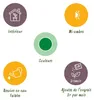 Green BoutiQ - Green is... Plantes d'intérieur - Dracaena Voir les images du produit 8