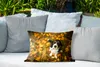 MuchoWow® Outdoor Kissen - Cavalier King Charles Spaniel Produktbild-Vorschau 4