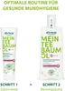 alkmene Zahnpasta mit Teebaumöl - vegane Zahncreme für Produktbild-Vorschau 5