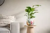 Kolekcja TS – Blumentopf Floral white – 17 x 15 Podgląd zdjęcia produktu 7