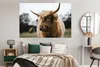 MuchoWow® Poster Schottisches Hochlandrind - Tiere - Hörner Produktbild-Vorschau 4