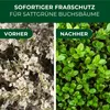Legona XenTari Buchsbaumzünsler Spritzmittel, 10 x 2 g, bis Produktbild-Vorschau 3