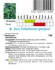 Borretsch  Gurkenkraut Produktbild-Vorschau 2