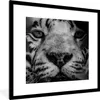 MuchoWow® Gerahmtes Poster Dschungel - Tiger - Schwarz - Produktbild-Vorschau 1