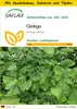 SAFLAX Anzucht Set - Ginkgo - Ginkgo biloba - 4 Samen - Mit Produktbild-Vorschau 1