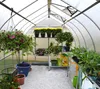 Interior of a greenhouse filled with various plants and gardening supplies. Podgląd zdjęcia produktu