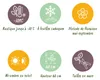 Green boutiQ - Stauden - Nepeta sib. Wild Orchid - Produktbild-Vorschau 7
