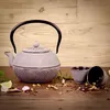 Echtwerk set da tè in ghisa 1,1 L bollitore per tè incl. Anteprima dell’immagine prodotto 7
