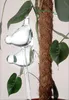 Sfere di vetro per annaffiare le piante in vaso - A forma Anteprima dell’immagine prodotto 2