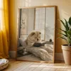 Chow-Chow, Hundeposter, Produktansicht 3 Podgląd zdjęcia produktu