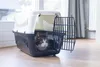 Beeztees Transportbox Gypsy für Katzen, Größe:58 x 38 x 33 Produktbild-Vorschau 2