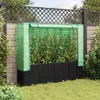 A raised garden bed with a greenhouse cover, filled with tomato plants, set against a wooden fence and lattice. Voir les images du produit