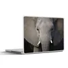 MuchoWow® Laptop Aufkleber Sticker Cover Nahaufnahme eines Produktbild-Vorschau 1