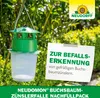 Neudorff Neudomon BuchsbaumzünslerFalle Nachfüllpack 1 Stk. Produktbild-Vorschau 6