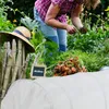 Tunnel de protection pour plantes Relaxdays, longueur 3,4 Voir les images du produit 3
