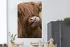 MuchoWow® Poster Schottischer Highlander - Braun - Tiere Produktbild-Vorschau 2