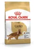 Royal Canin Cocker Adult, Dospělý jedinec, Kokršpaněl, Náhled obrázku produktu 1