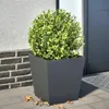 Plantenbak 40x40x40 cm staal antracietkleurig Productafbeelding-voorbeeld 2