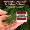 A hand holding a branch of a Christmas tree, with text overlays describing its features. Produktbild-Vorschau